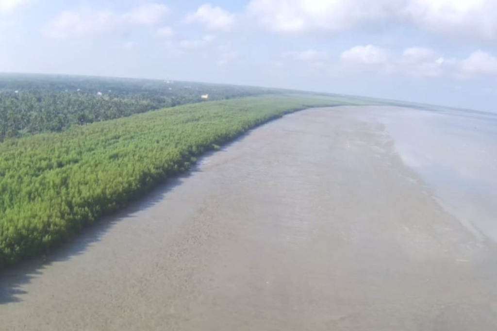 Penanaman Mangrove Desa Pasir