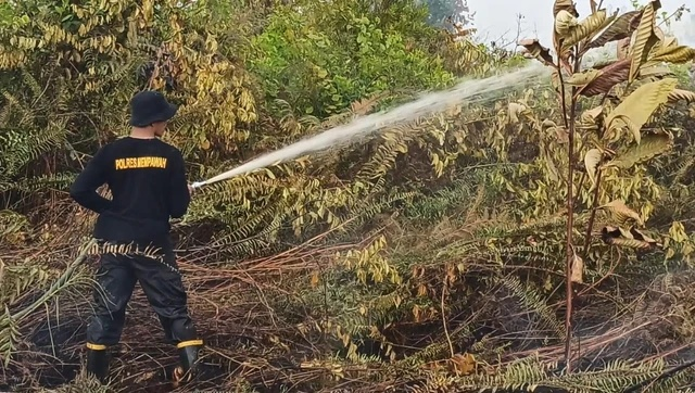 Kebakaran Hutan Desa Pasir