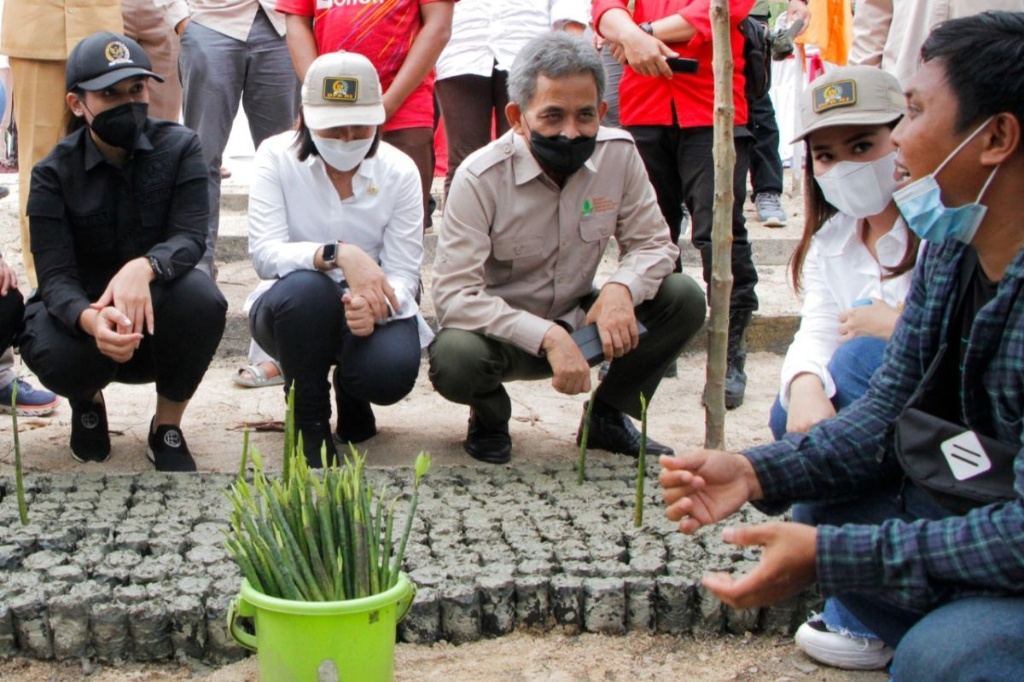 Wisata Mangrove Desa Pasir